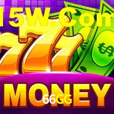 Premium Interface 66GG